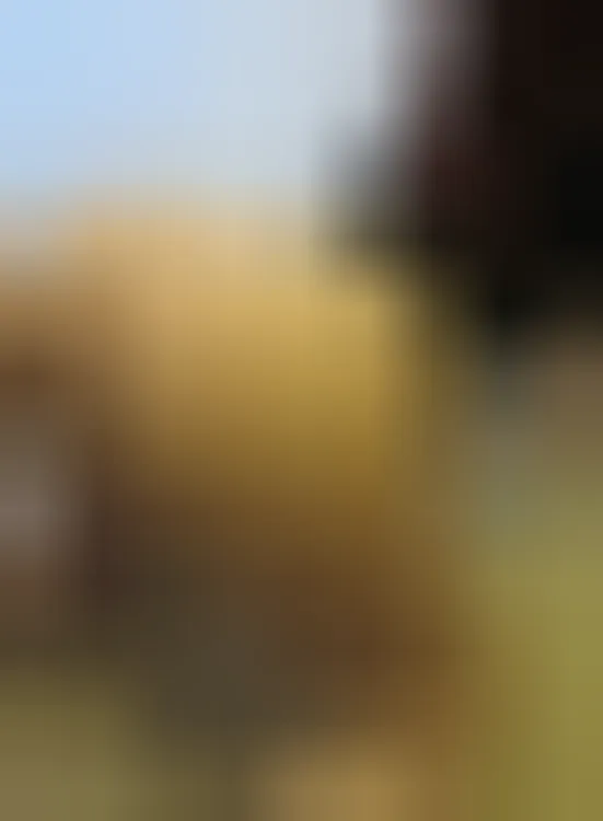 Lola, 22 ans — rencontre cougar à Arcueil