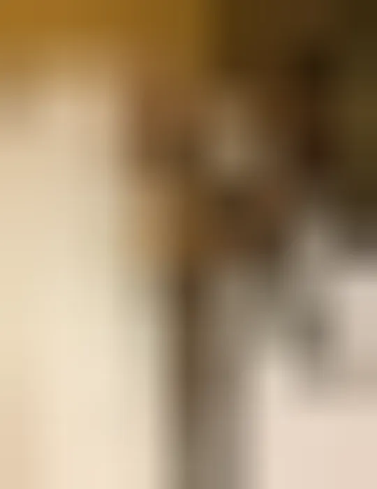 Latifa, 24 ans — rencontre cougar à Caen