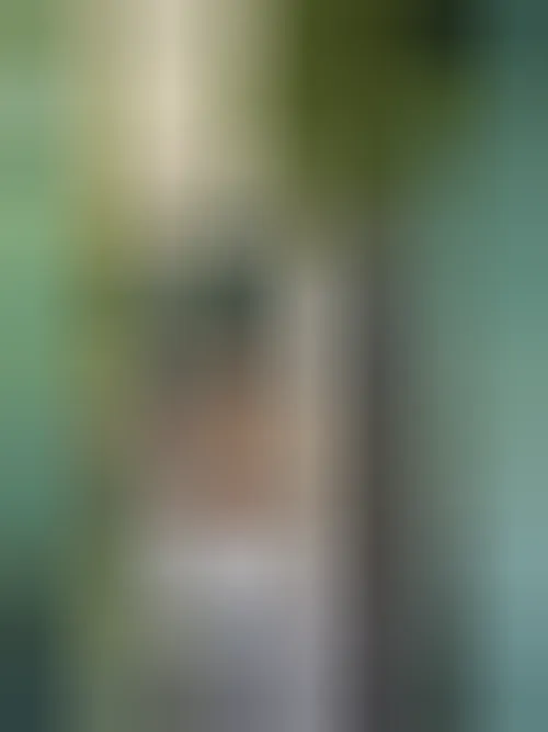 Fanny, 27 ans — rencontre cougar à Toulouse