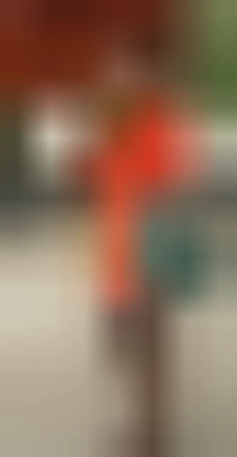 Natacha, 26 ans — rencontre cougar à Paris