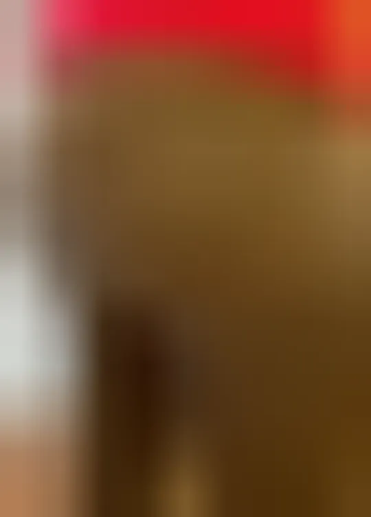 Diane, 22 ans — rencontre cougar à Plouguerneau