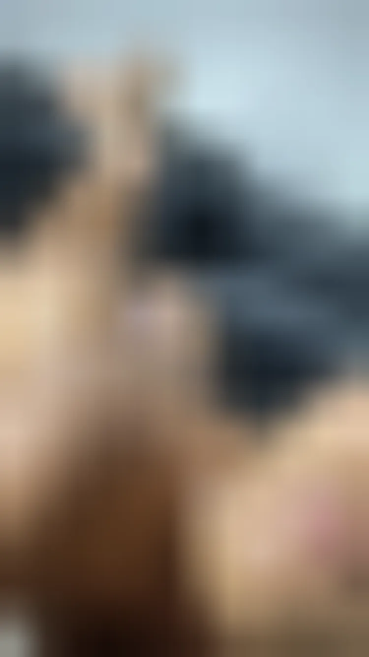 Djamila, 36 ans — rencontre cougar à Cenon